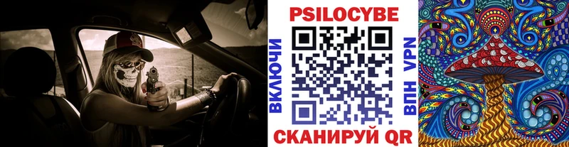 Галлюциногенные грибы Psilocybine cubensis  Киров 